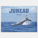 Search for alaska magnets Whale