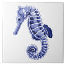 Search for seahorse tiles Beach