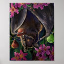 Search for fruit bat art Flowers
