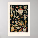 Search for vintage chinese posters Illustration