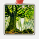 Search for beech home living Woods