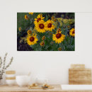 Search for vibrant photography Summer