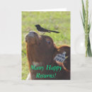 Search for dairy cow birthday cards Farm