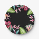 Search for tropical plates Birthday