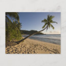 Search for seychelles postcards Coast