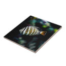 Search for aquatic tiles Tropical