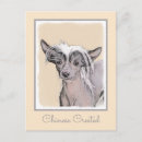 Search for crested postcards Hairless