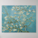 Search for tree branches posters Almond