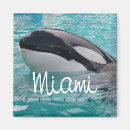 Search for florida magnets United states