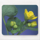 Search for spring bud mousepads Flower
