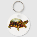 Search for terrapins key rings Wildlife