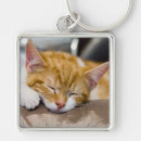 Search for sleeping cat key rings Baby