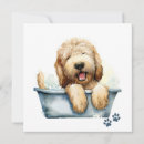 Search for grooming cards Puppy