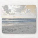 Search for serenity electronics Photography