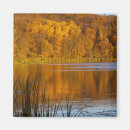 Search for rapids magnets Usa