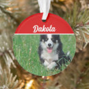Search for dog breed christmas tree decorations Dogs