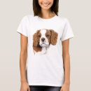 Search for spanials Cavalier