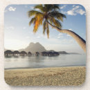 Search for beach hut coasters Bora bora