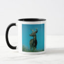 Search for deer portrait mugs Nature