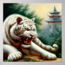 Search for chinese tiger posters China
