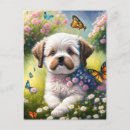 Search for dog and flowers postcards Puppy