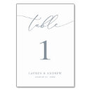 Search for dusty blue bridal shower Minimalist