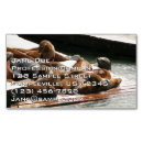 Search for sun business cards Nature