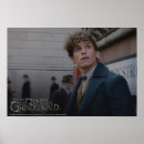 Search for beasts photography Newt scamander