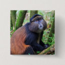 Search for great apes badges Monkey