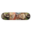 Search for dog skateboards Cute