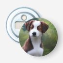 Search for collie barware Puppy