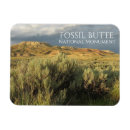 Search for fossil magnets Souvenir