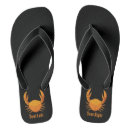 Search for crab jandals Animal