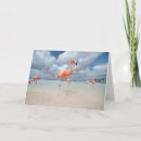 Search for aruba cards Lesser antilles