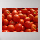 Search for tomatoes art Garden
