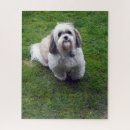 Search for dog picture puzzles Adorable