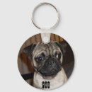 Search for boy dog key rings Pug
