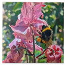 Search for bee tiles Nature