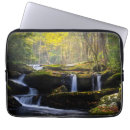 Search for appalachia electronics Autumn