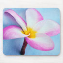 Search for danita delimont mousepads Gold