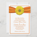 Search for yellow gerbera Orange