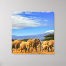 Search for african canvas prints Safari