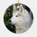 Search for alaskan husky christmas tree decorations Animal