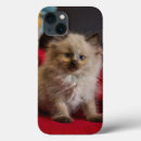 Search for siamese iphone cases Kitten