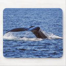 Search for humpback whale mousepads Mammal