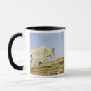 Search for altitude mugs High