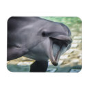 Search for getty magnets Nature