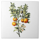 Search for vintage kitchen tiles Orange