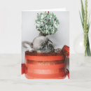 Search for eve christmas cards Xmas