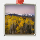 Search for telluride christmas tree decorations Nature